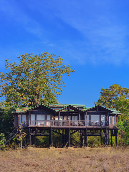 Treehouse in Satpura