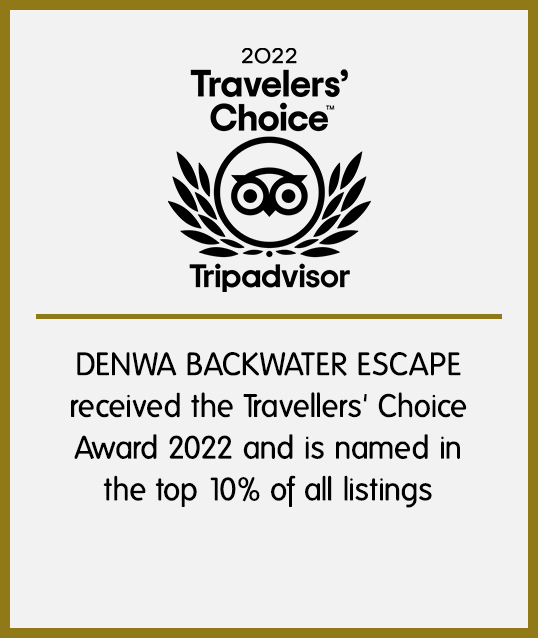 tripadvisor awards 2022