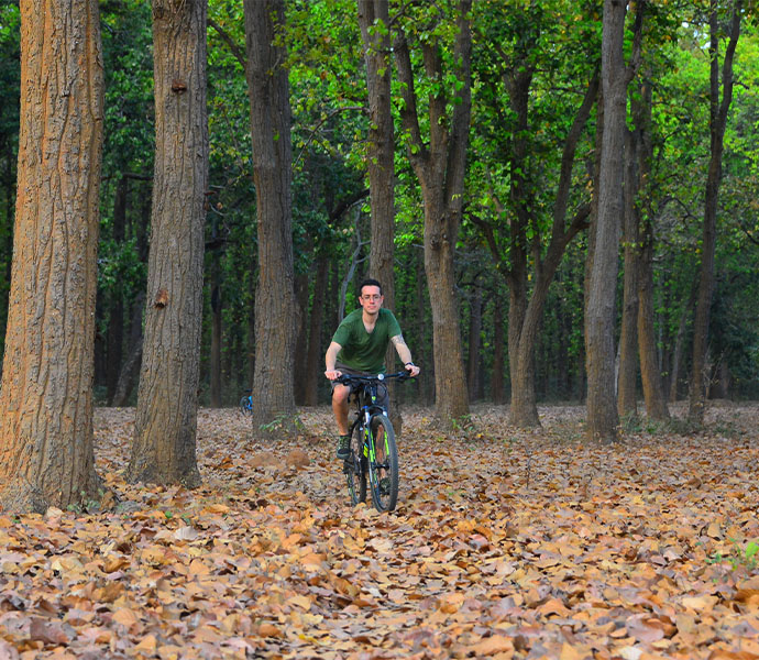 Cycling in Satpura National Park