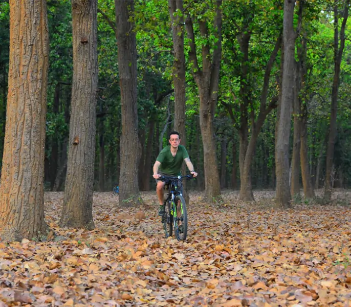 Cycling experience around Satpura countryside