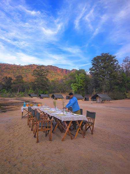 Tent stay in Satpura National Park