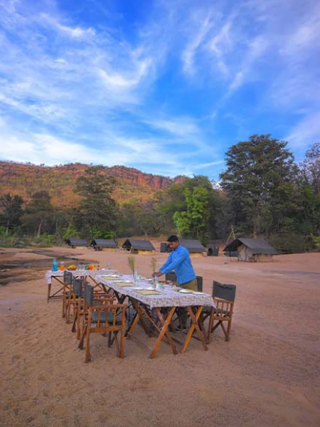 Tent stay in Satpura National Park