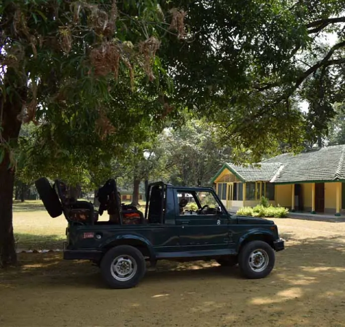 Full Day Safari at Churna Forest in Satpura Tiger Reserve