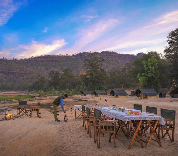 One night camping in Satpura National Park