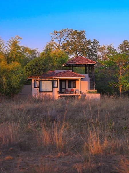 Exterior view of a luxury cottage surrounded by grassland and forest at Denwa Backwater Escape