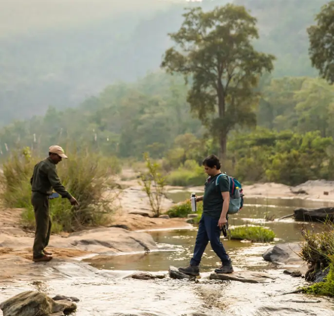 Guided walking safari in Satpura National Park