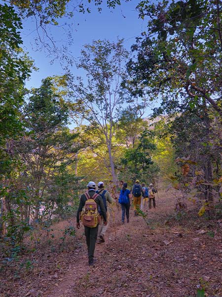 Walking Safari in Satpura National Park