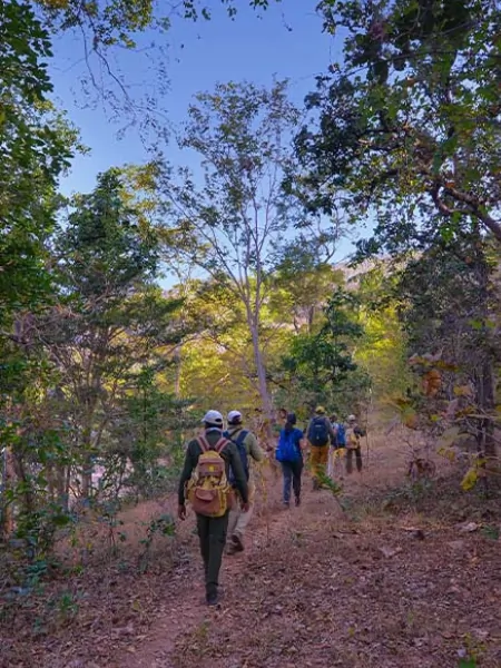 Walking Safari in Satpura National Park