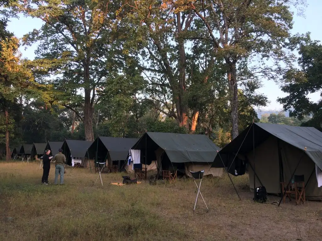 Camping on Forsyth trail in Satpura National Park