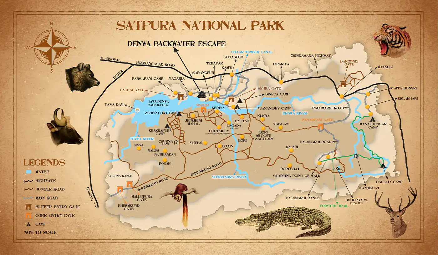 Wildlife wonders of satpura national park