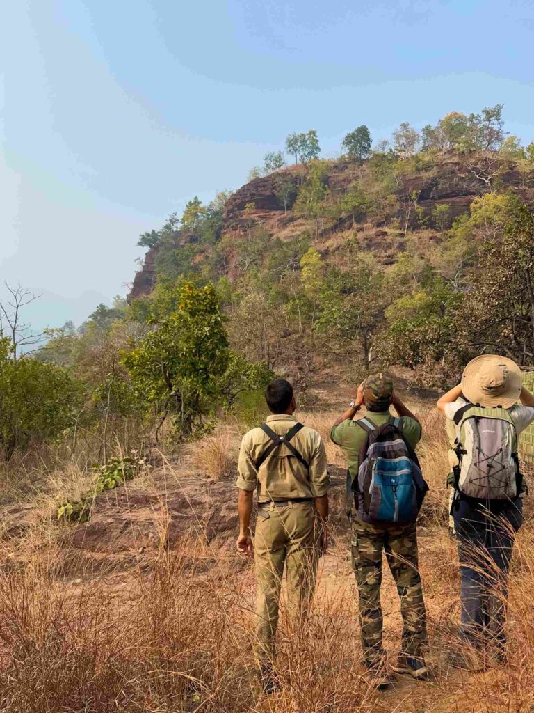 Birding with Binoculars