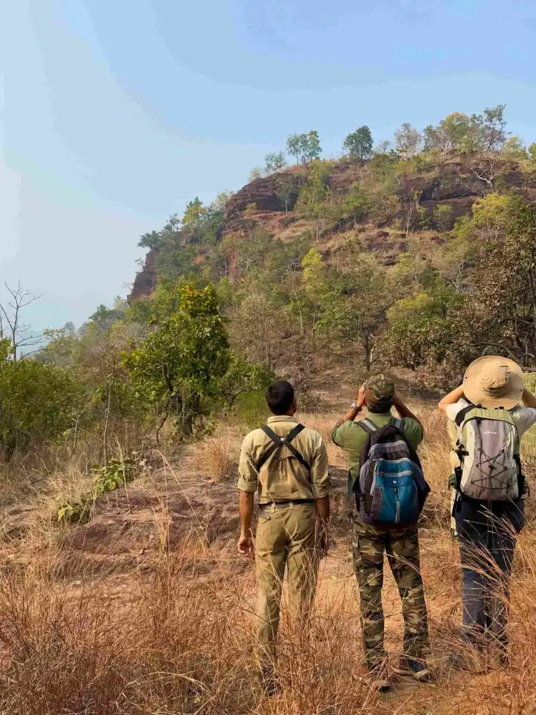 Birding with Binoculars