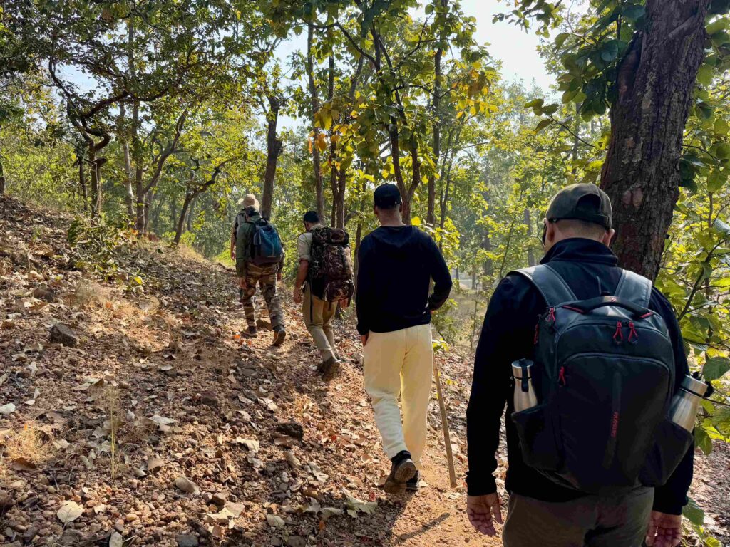 forest walking trail with the group
