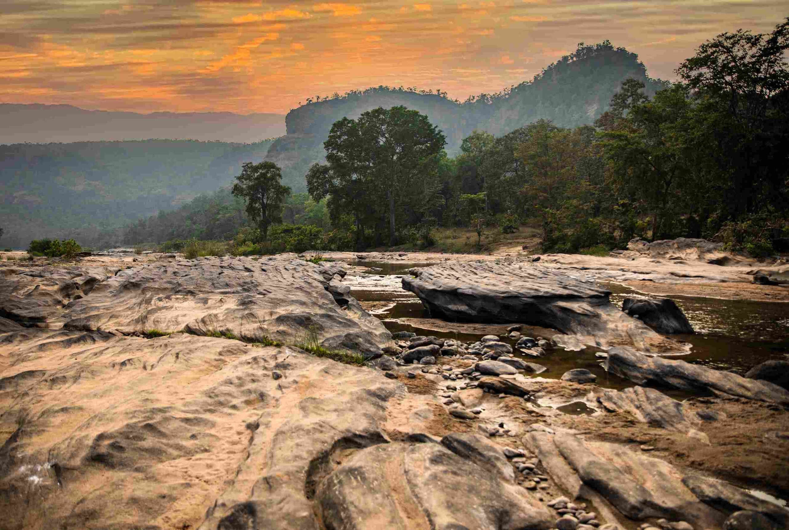 Forsyth trail walking safari in satpura