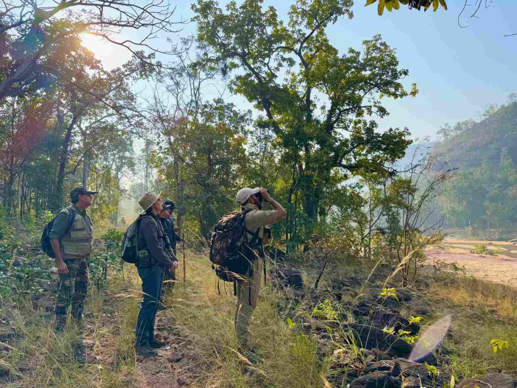 Satpura binoculars sight