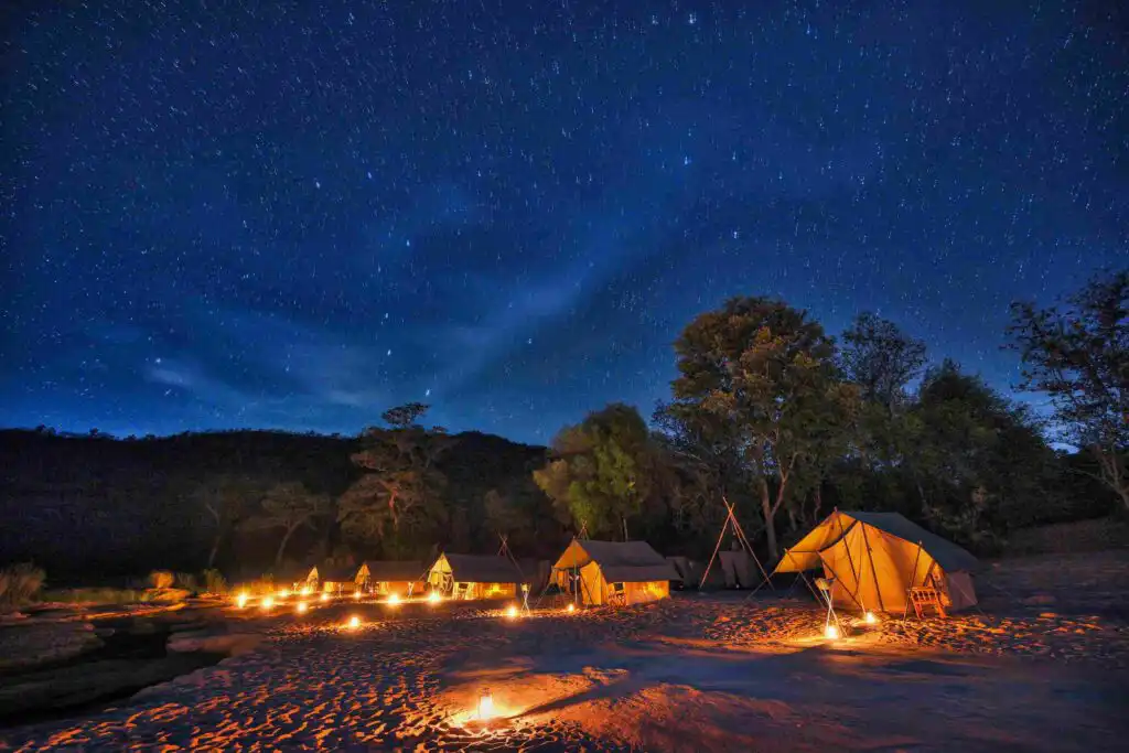 Tents with night sky in Satpura National Park by Denwa Backwater Escapes