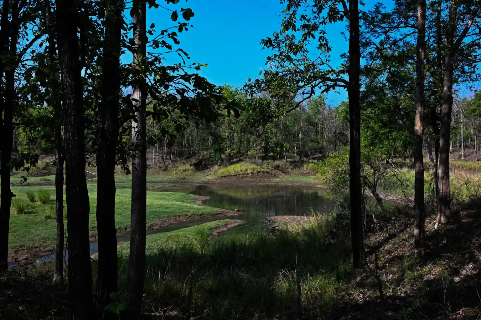 best time to visit in satpura national park