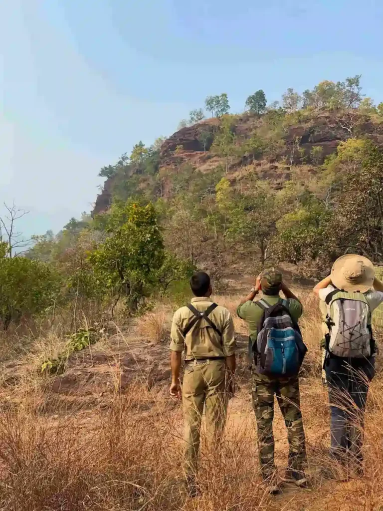 Birding with Binoculars