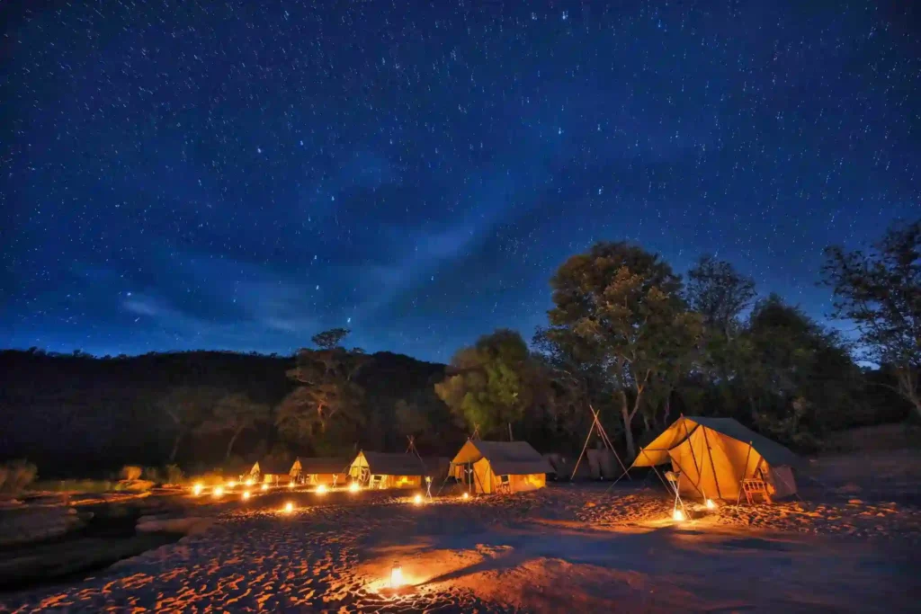 Tents with night sky in Satpura National Park by Denwa Backwater Escapes