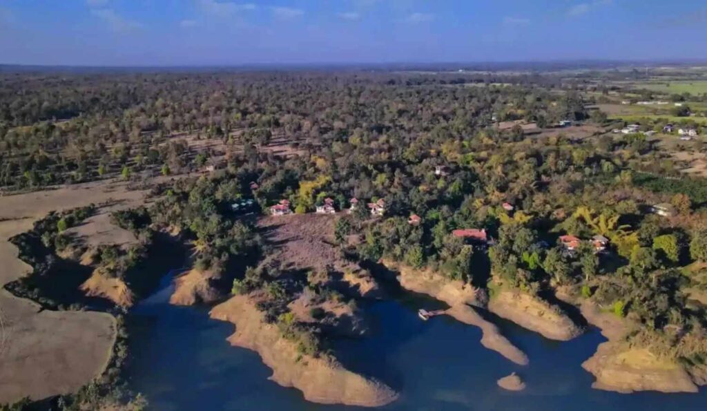 aerial view