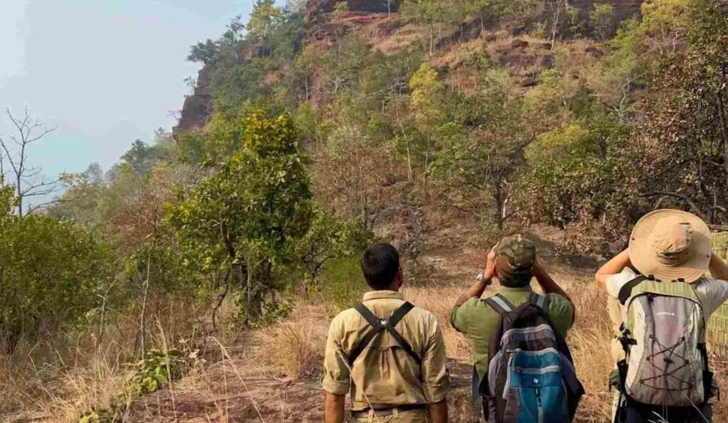 birding with binoculars
