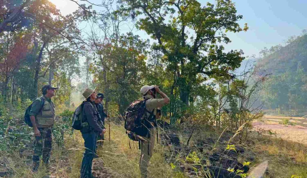 satpura binoculars sight
