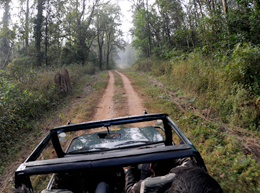 jeep_safari